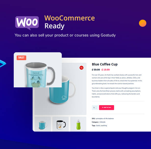 Gostudy - Education WordPress Theme